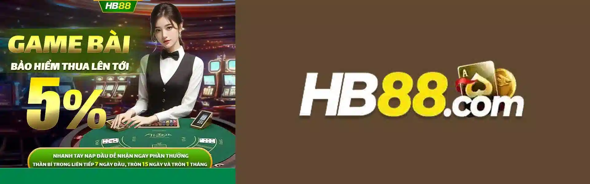 HB88 Banner