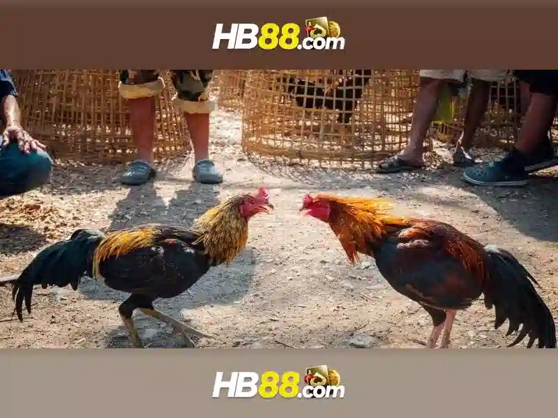 HB88 – Trải Nghiệm Slot Đỉnh Cao Với Ứng Dụng Di Động