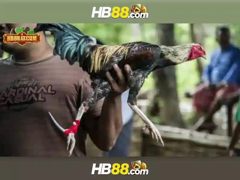 Hướng Dẫn Tải HB88