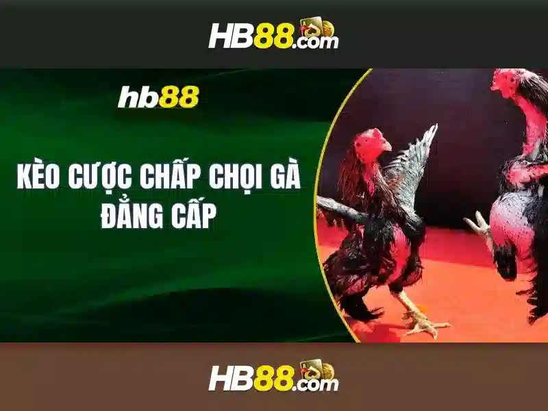 HB88 Casino