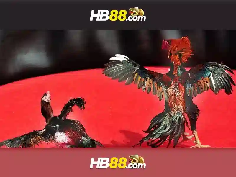 Nhà Cái HB88