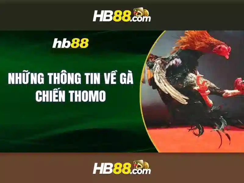 Các Trò Chơi Slot Hot