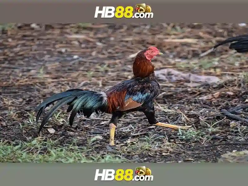 Ưu Đãi Nạp Tiền
