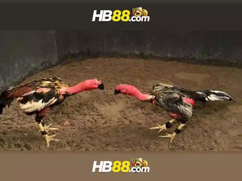 trải nghiệm slot hb88