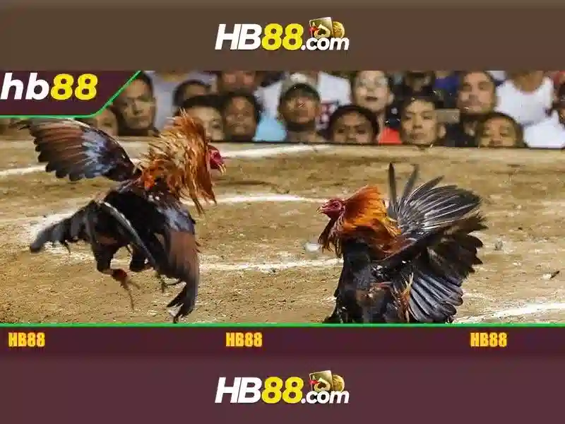 Ưu Đãi hb88 uy tin so 1 Độc Quyền Cho Thành Viên HB88