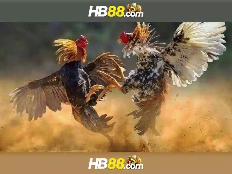 HB88 | Trang Chủ HB88 | Link Vào Trang Chủ HB88 Chính Thức Không Bị Chặn 2026