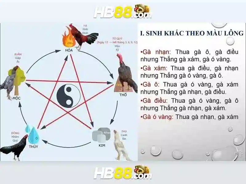 Ưu Đãi Đặc Biệt