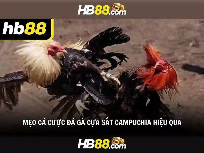 HB88 game