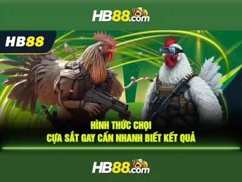 Tại Sao Nên Chọn App HB88