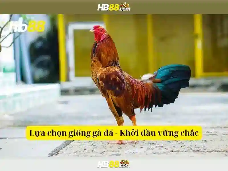 HB88 Slot 3D