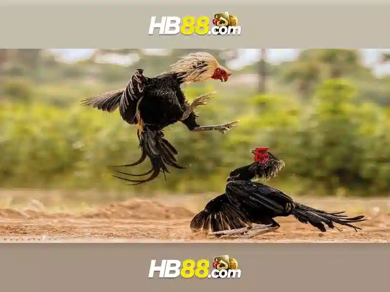 Ưu Điểm Bắn Cá