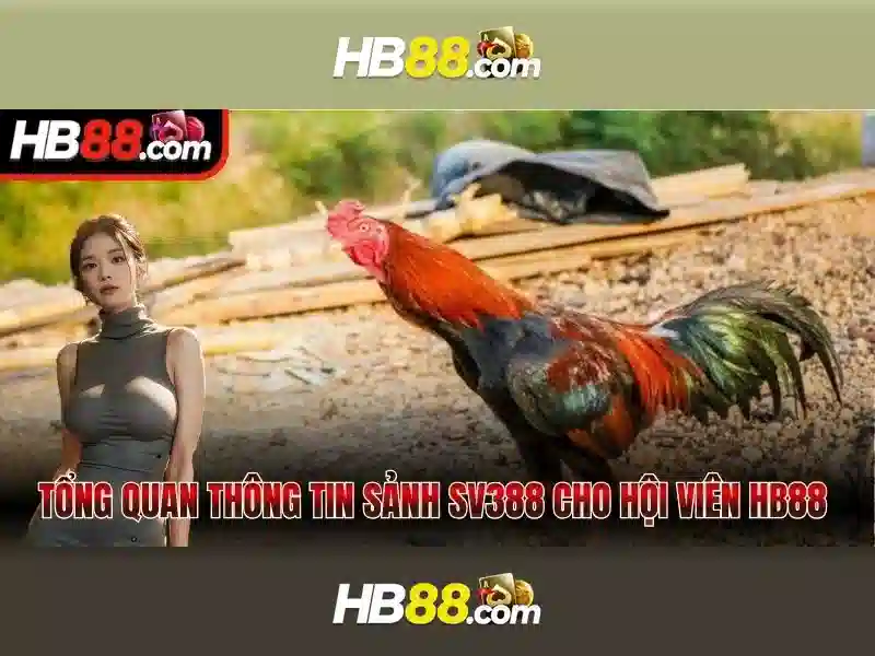 Lợi Ích Khi Chơi Poker Tại HB88