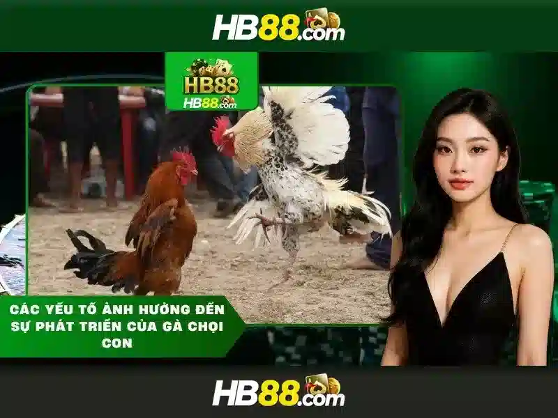 HB88 APK