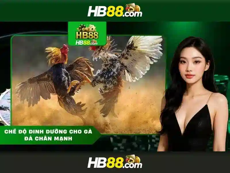 HB88 - Trải Nghiệm Cá Cược Slot Đỉnh Cao Với Ưu Đãi Hấp Dẫn 2026