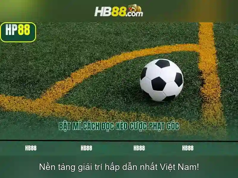 quy định HB88
