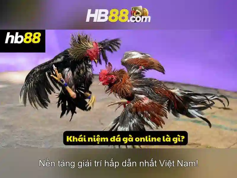 Hướng dẫn đăng nhập HB88