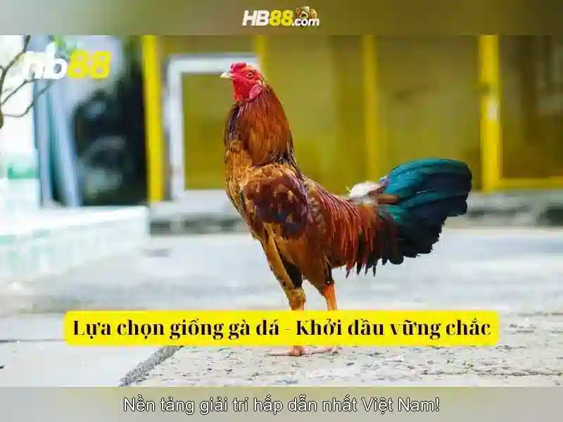 Cách Tham Gia Slot