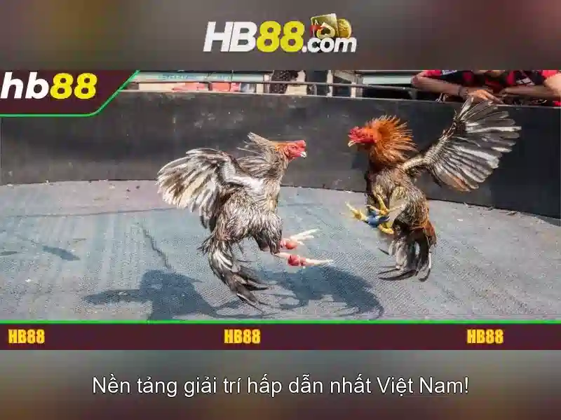 kinh nghiệm Bắn Cá