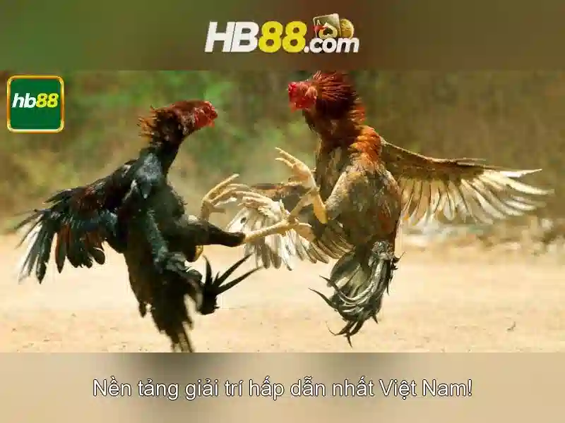Nạp Rút Tiền HB88