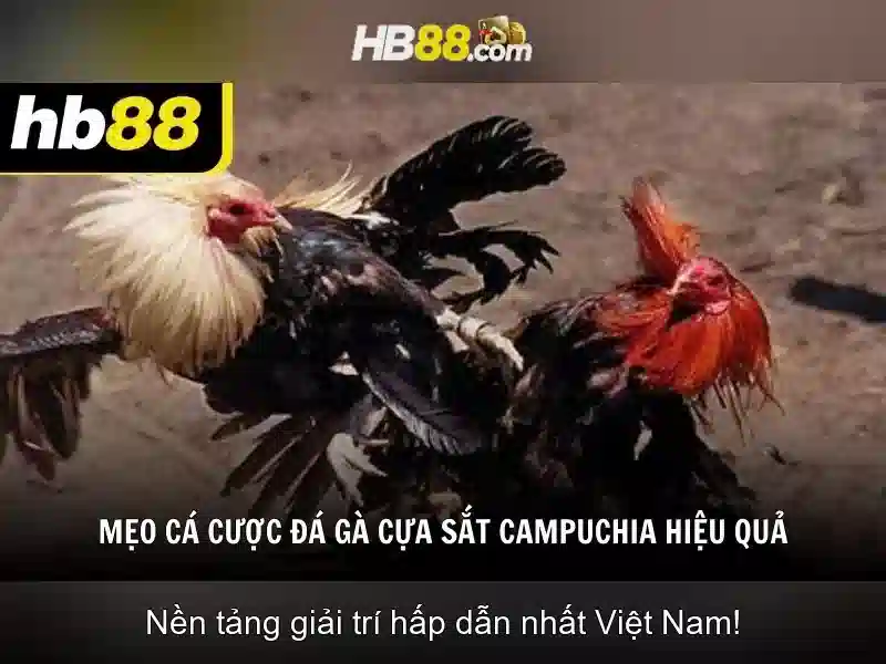Ưu điểm nổi bật