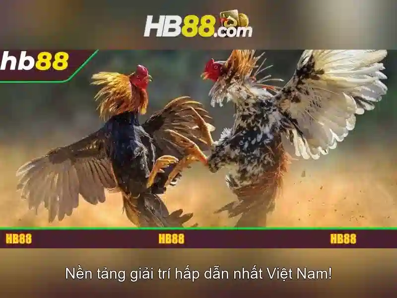 Khuyến Mãi Độc Quyền