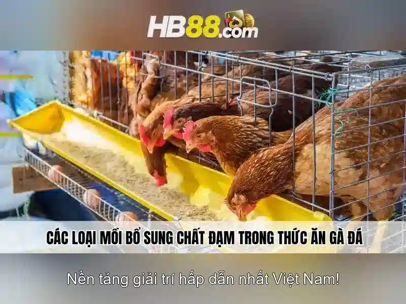 Trò Chơi Slot HB88