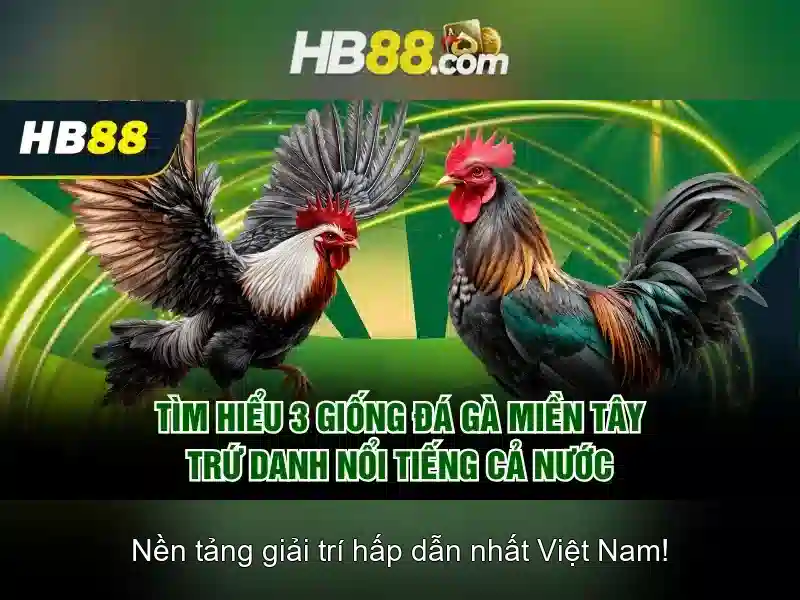 Hướng Dẫn Đăng Nhập