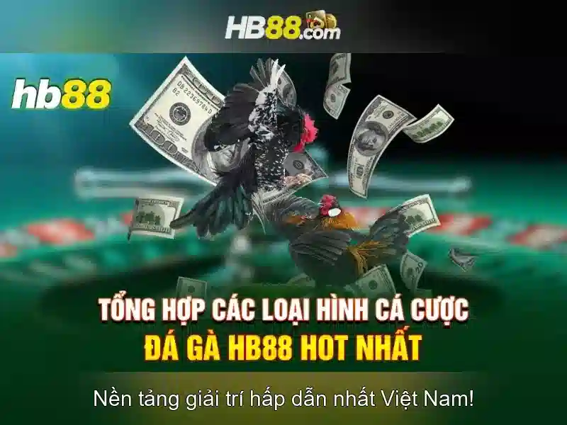Chương trình khuyến mãi đặc biệt