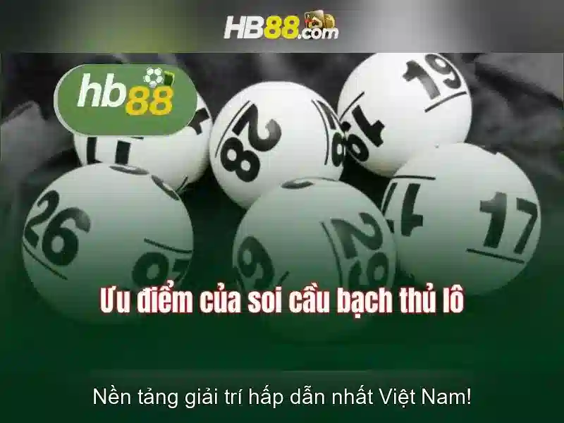 Dịch Vụ Hỗ Trợ Tận Tâm