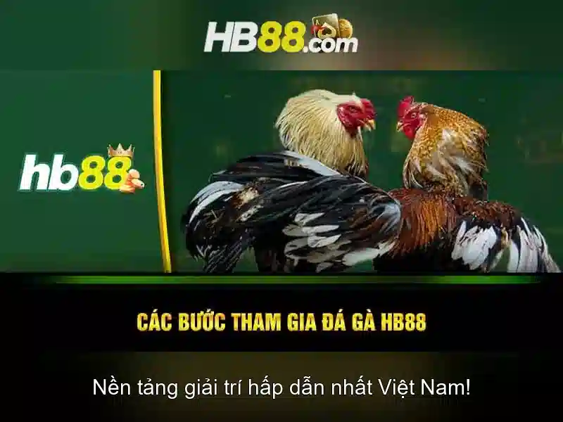 Ưu đãi slot