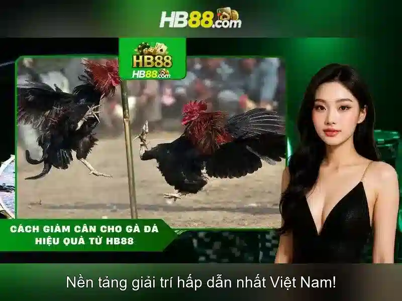 HỖ TRỢ CHƠI SLOT TRỰC TUYẾN