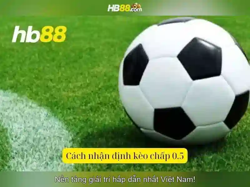 Cách tải HB88