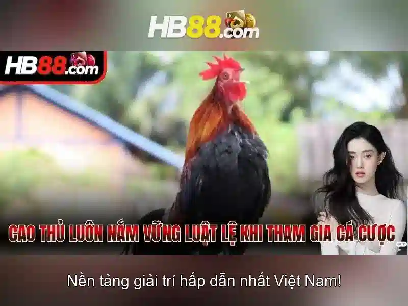 Đặc Điểm Nổi Bật