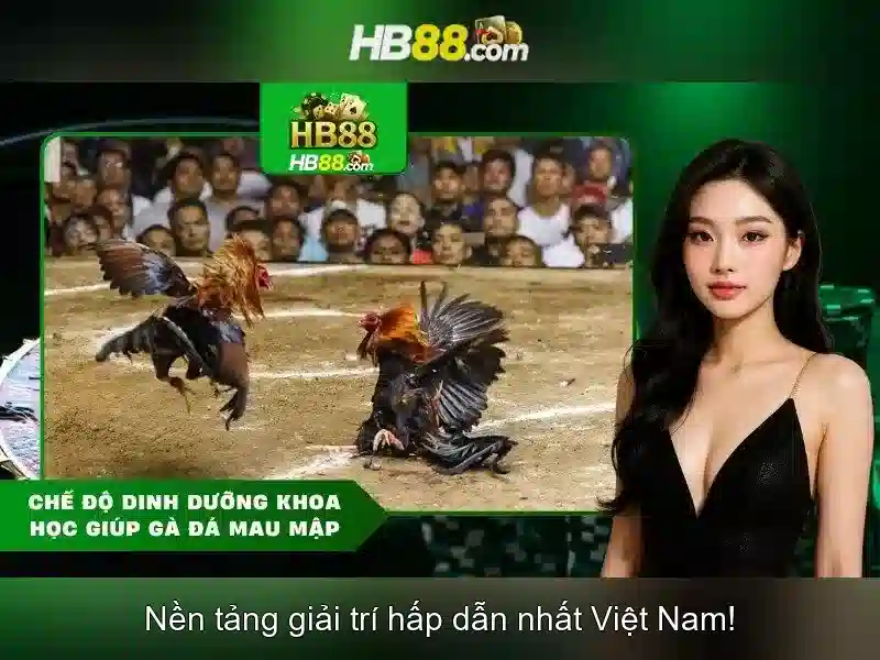 Trang Chu HB88