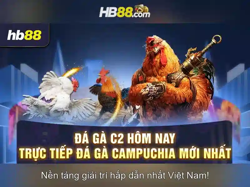 Slot Video
