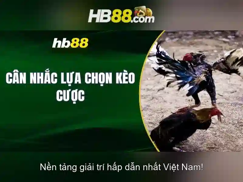 Ứng dụng tải HB88