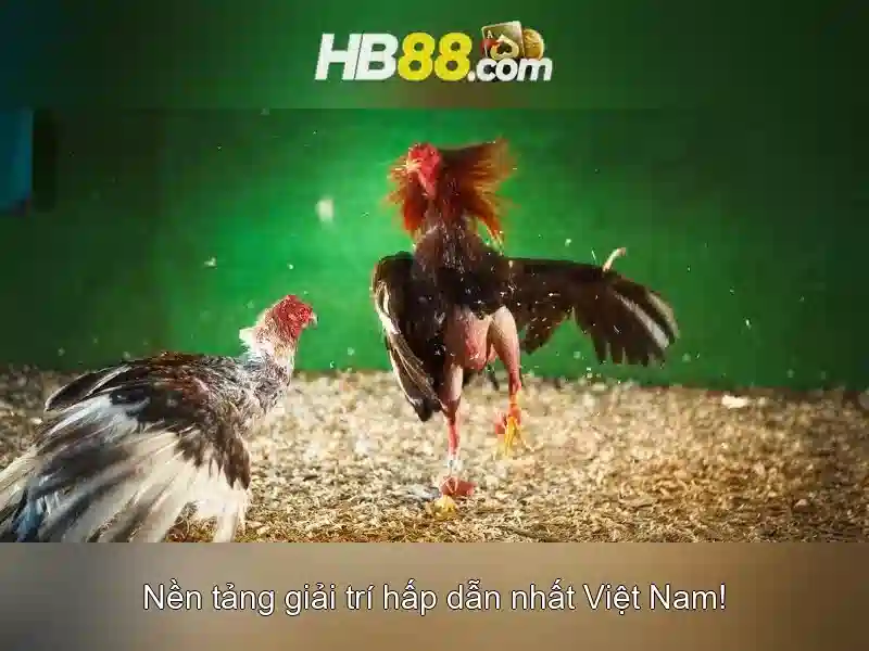 HB88 – Trang Chủ Ứng Dụng hb88 Android Cho Người Chơi SLOT Đam Mê