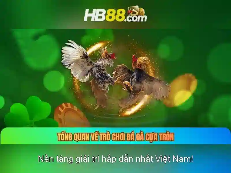 cách chơi slot dễ thắng