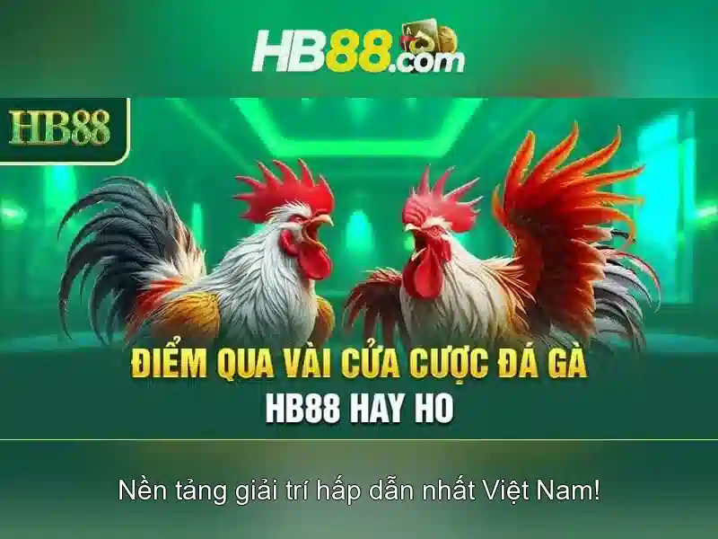 Giải Pháp Tối Ưu Cho Người Chơi Slot