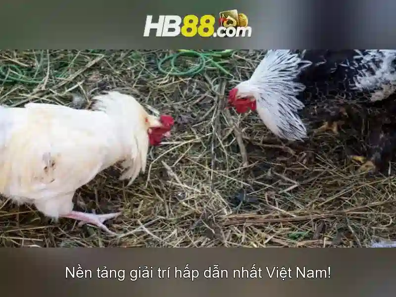 Trải nghiệm slot HB88